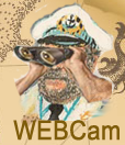 Live-Webcam